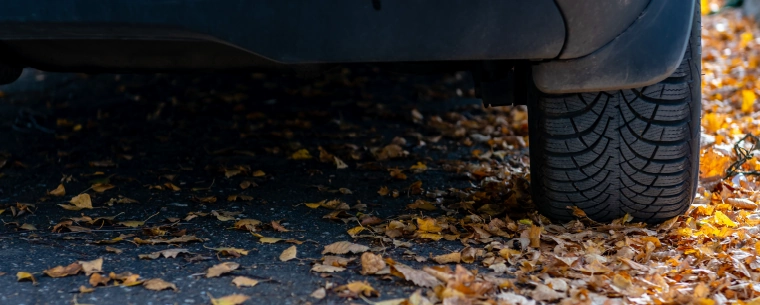 Vehicle stationary surrounded by leaves.